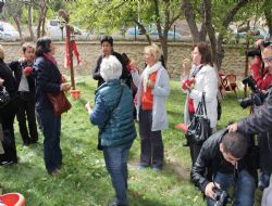 CHP'den Ödük çıkarması